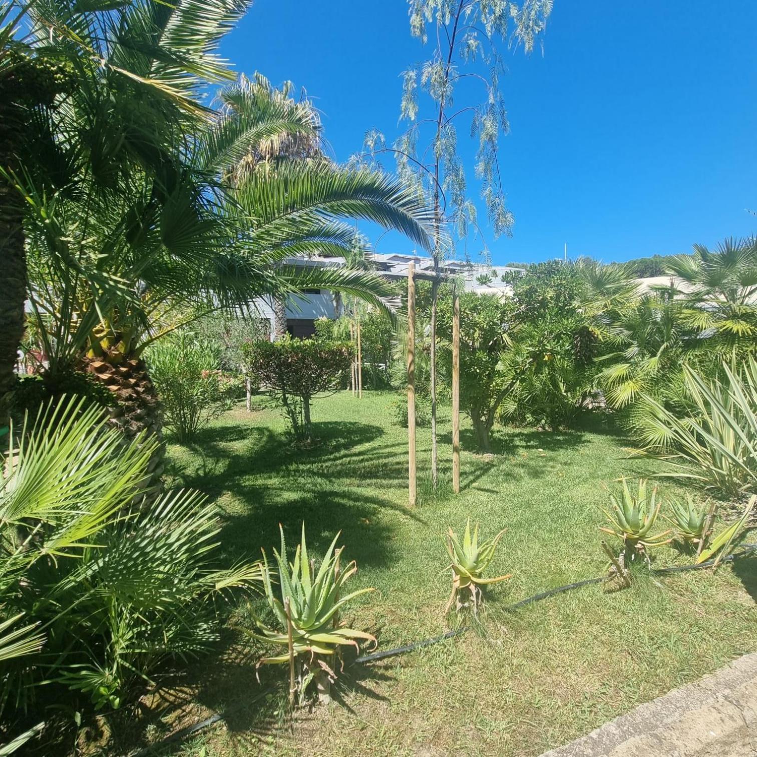 Residence Solemaremma Castiglione della Pescaia Eksteriør bilde